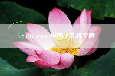 莱芜中国十九枚金牌