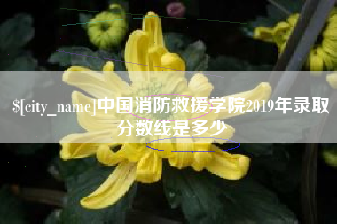 莱芜中国消防救援学院2019年录取分数线是多少