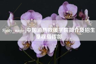 莱芜中国消防救援学院简介及招生章程指挥部