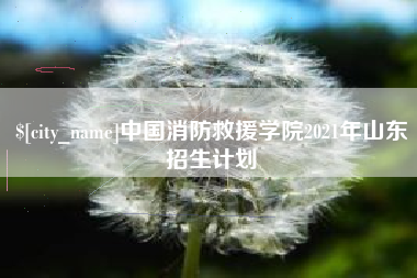 莱芜中国消防救援学院2021年山东招生计划