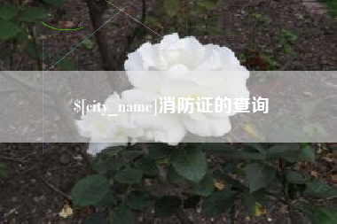 莱芜消防证的查询