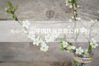 莱芜中国执行信息公开平台