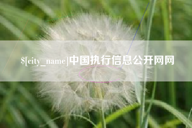 莱芜中国执行信息公开网网