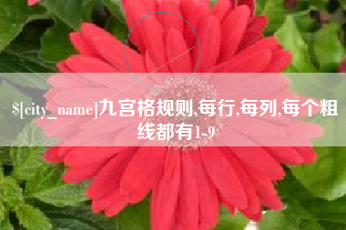 莱芜九宫格规则,每行,每列,每个粗线都有1-9