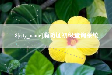 莱芜消防证初级查询系统