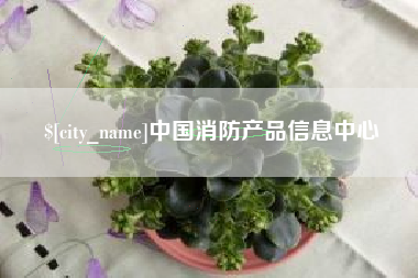 莱芜中国消防产品信息中心