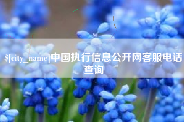 莱芜中国执行信息公开网客服电话查询