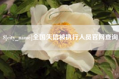莱芜全国失信被执行人员官网查询