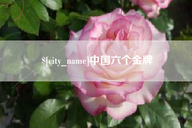 莱芜中国六个金牌