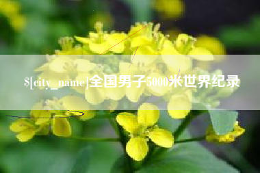 莱芜全国男子5000米世界纪录
