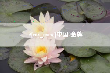 莱芜中国9金牌