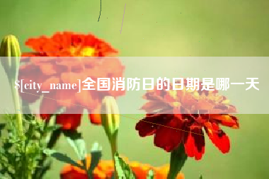 莱芜全国消防日的日期是哪一天