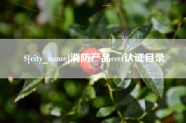 莱芜消防产品cccf认证目录
