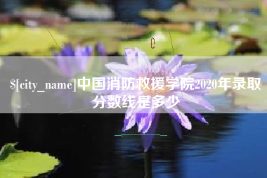 莱芜中国消防救援学院2020年录取分数线是多少