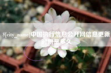 莱芜中国执行信息公开网信息更新时间是多久