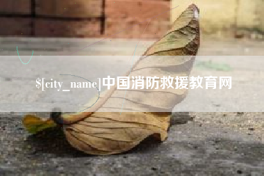 莱芜中国消防救援教育网