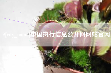 莱芜中国执行信息公开网网站官网