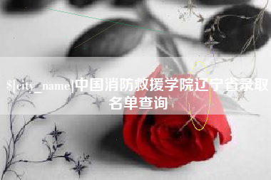 莱芜中国消防救援学院辽宁省录取名单查询