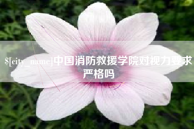 莱芜中国消防救援学院对视力要求严格吗