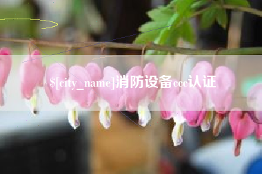 莱芜消防设备ccc认证