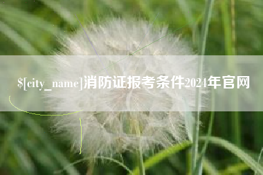 莱芜消防证报考条件2024年官网