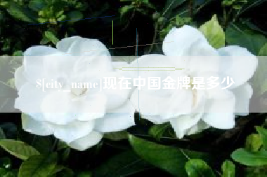 莱芜现在中国金牌是多少