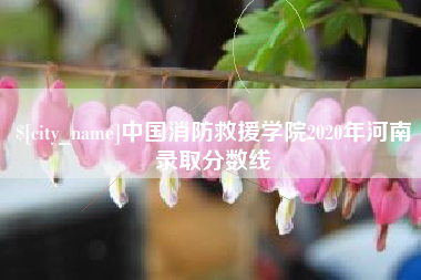 莱芜中国消防救援学院2020年河南录取分数线