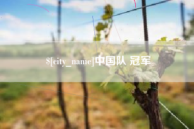 莱芜中国队 冠军