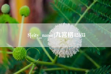 莱芜九宫格42633