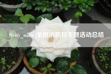 莱芜全国消防日主题活动总结