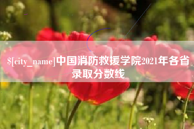 莱芜中国消防救援学院2021年各省录取分数线