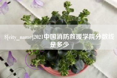 莱芜2021中国消防救援学院分数线是多少