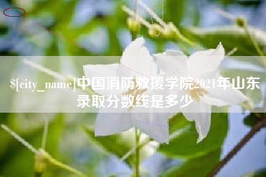 莱芜中国消防救援学院2021年山东录取分数线是多少