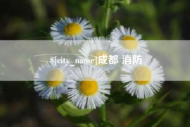 莱芜成都 消防