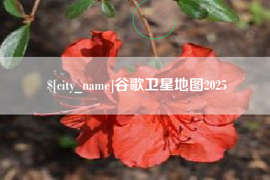 莱芜谷歌卫星地图2025