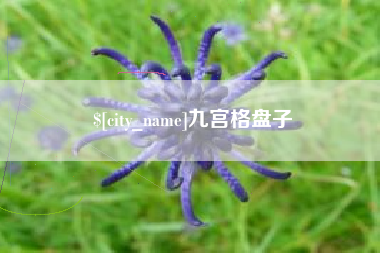 莱芜九宫格盘子