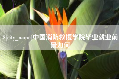 莱芜中国消防救援学院毕业就业前景如何
