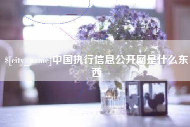 莱芜中国执行信息公开网是什么东西