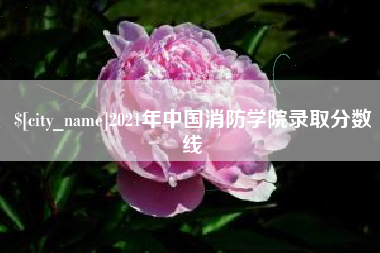 莱芜2021年中国消防学院录取分数线