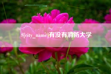 莱芜有没有消防大学