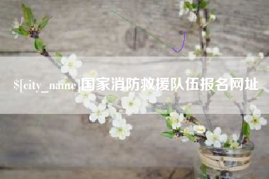 莱芜国家消防救援队伍报名网址