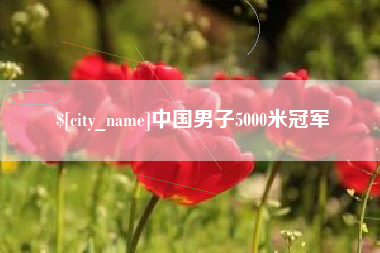 莱芜中国男子5000米冠军
