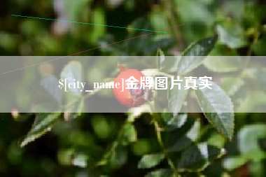 莱芜金牌图片真实