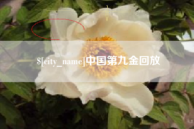 莱芜中国第九金回放