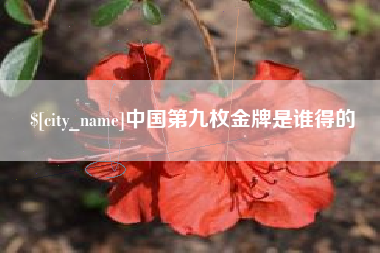 莱芜中国第九枚金牌是谁得的