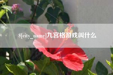 莱芜九宫格游戏叫什么