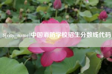 莱芜中国消防学校招生分数线代码