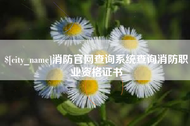 莱芜消防官网查询系统查询消防职业资格证书