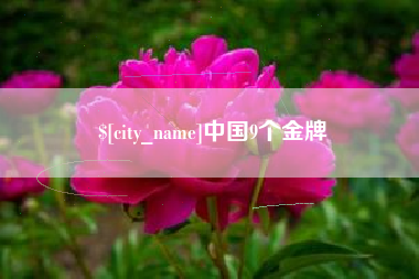 莱芜中国9个金牌