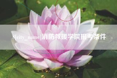莱芜消防救援学院报考条件